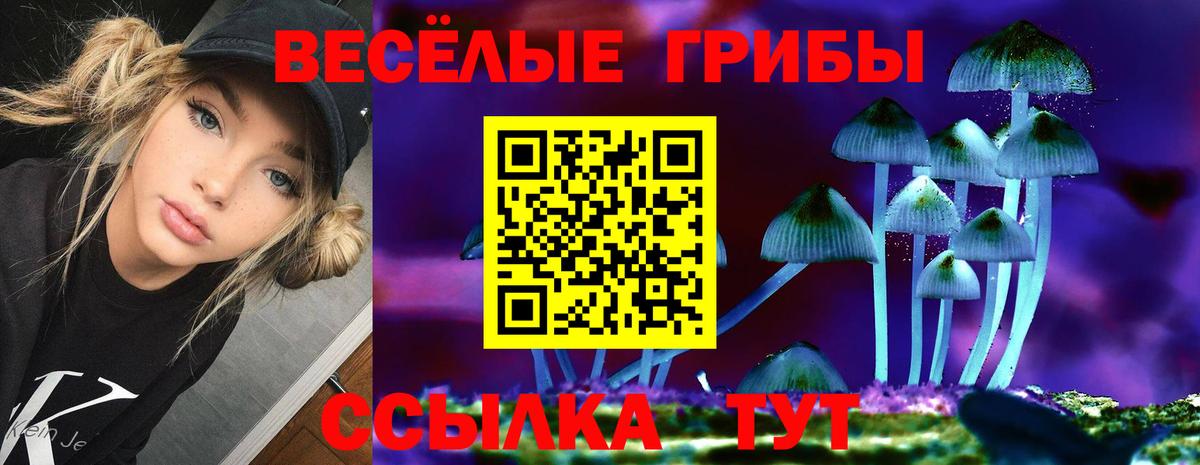 Галлюциногенные грибы Городец